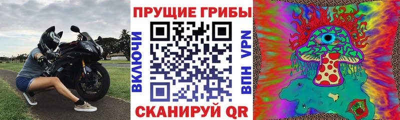 как найти наркотики  Ялта  Галлюциногенные грибы прущие грибы 